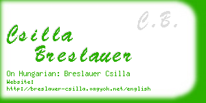 csilla breslauer business card